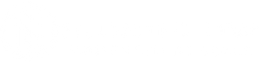 NeuroFlow Logo